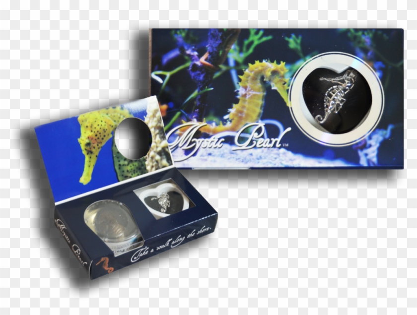 Graphic Design Clipart