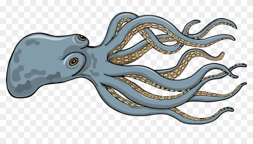 Giant Squid - Giant Squid - Illustration Clipart #4708160
