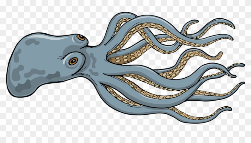Giant Squid - Giant Squid - Illustration Clipart