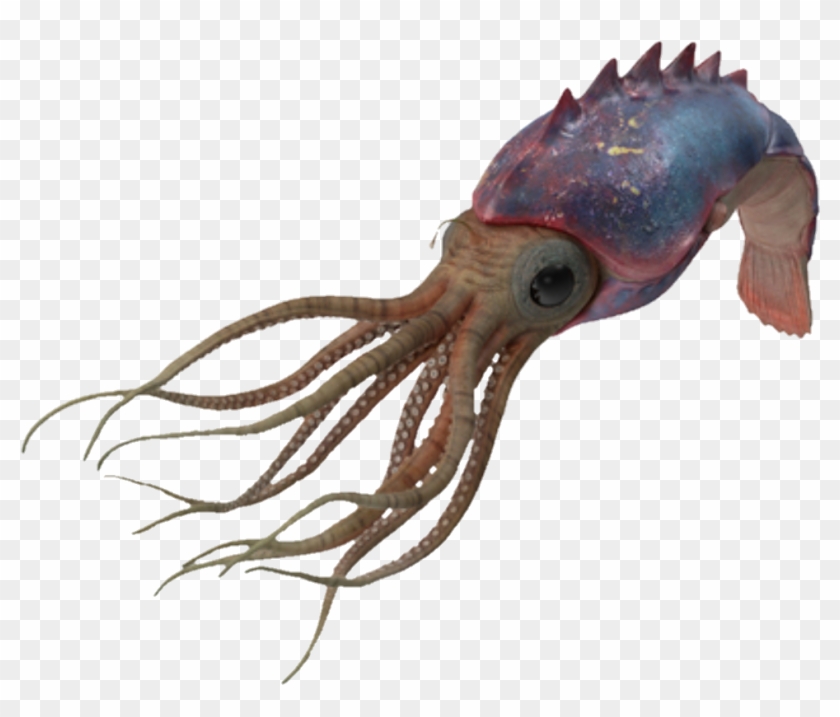Octopus Clipart #4708226