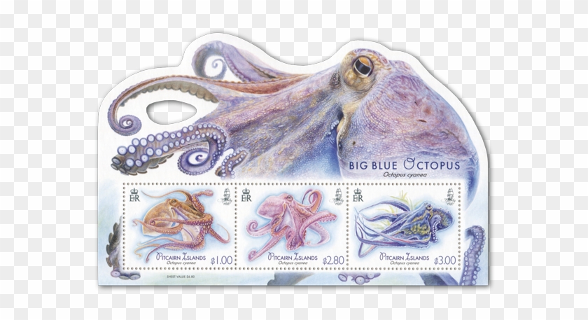 View Large Image - Postage Stamps Octopus Cyanea Clipart