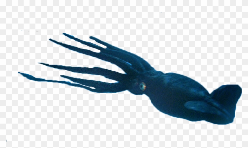 Animalgiant Squid - Eagle Clipart #4708626