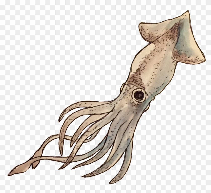 Some Transparent Deep Sea Images - Giant Squid Clipart #4708775