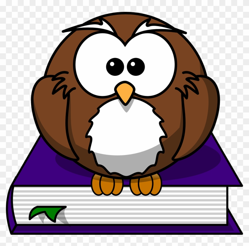 Literature Library Reading Owl Png Image - Cartoon Owl Clipart #4708947