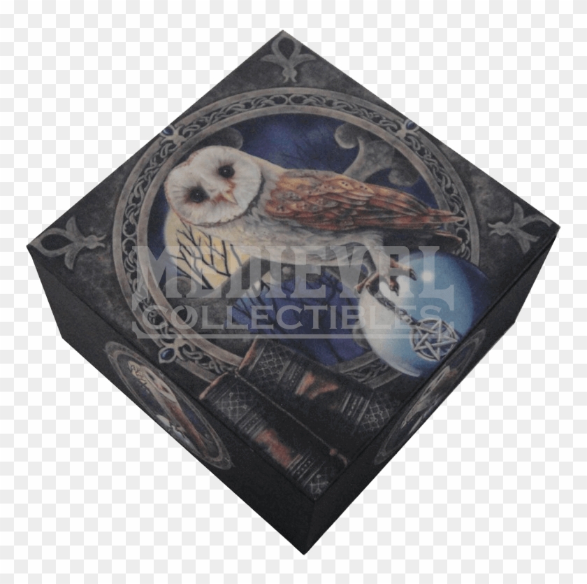 Barn Owl Clipart