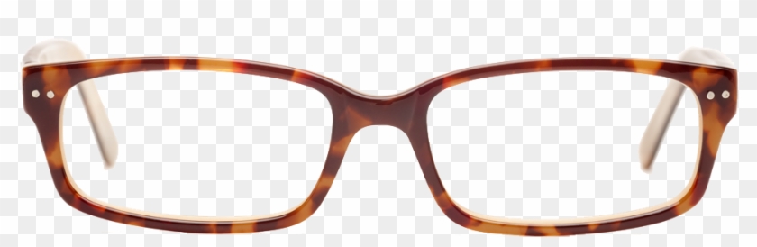 Penn Avenue Eyewear - Lenskart Frames Cat Eye Clipart #4709295