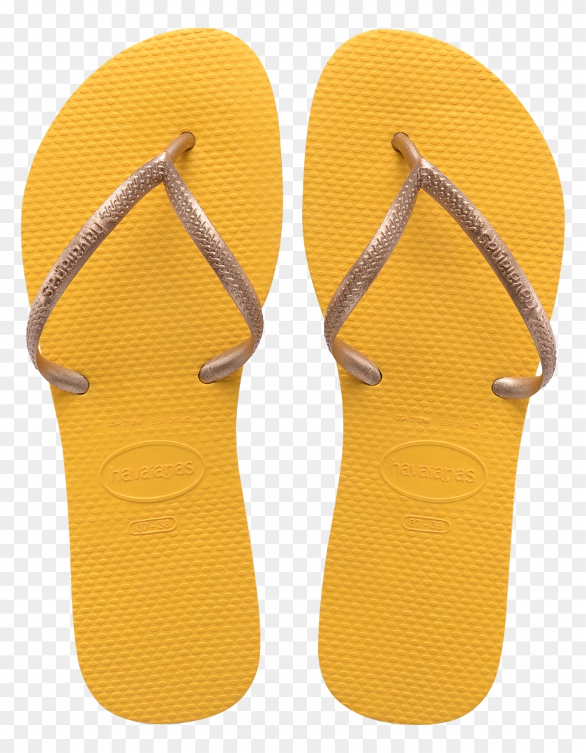 Women's Flat Up - Havaianas Femininos 41 42 Clipart