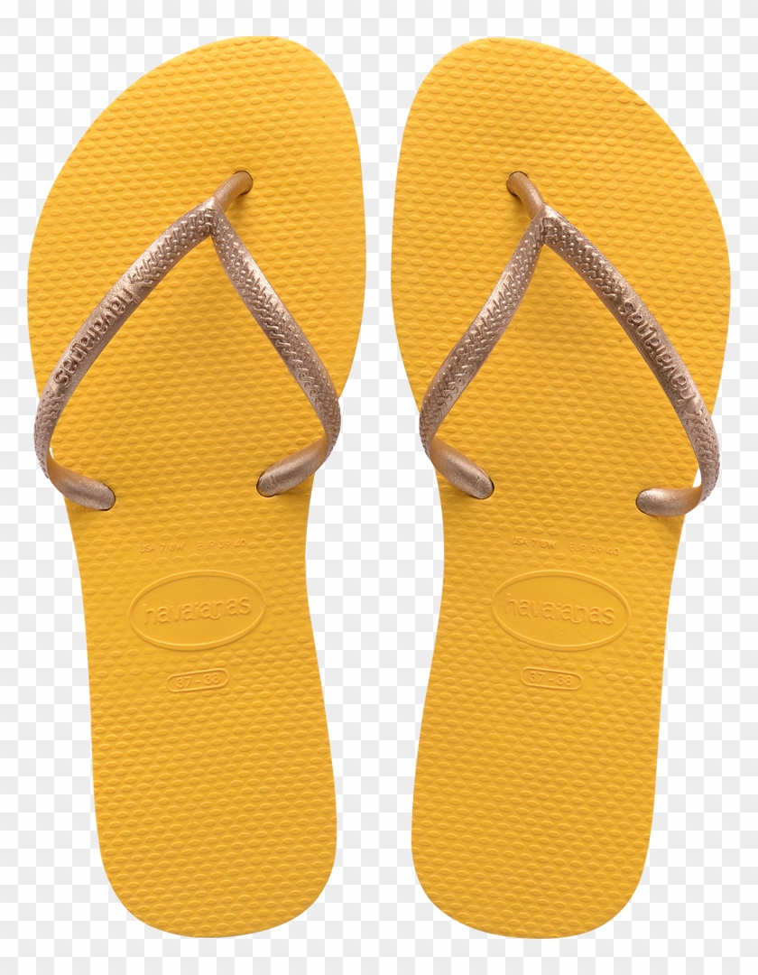 Women's Flat Up - Havaianas Femininos 41 42 Clipart #4709752