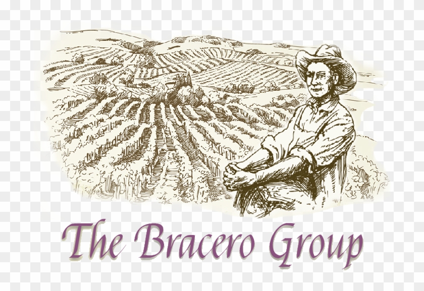 Vineyard Vineyard Vineyard Vineyard - Drawing Clipart