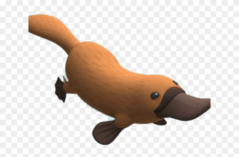 Platypus Transparent Background Clipart