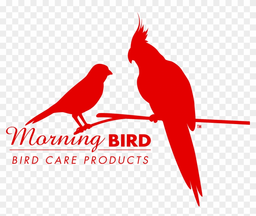Morning Bird Logo Clipart