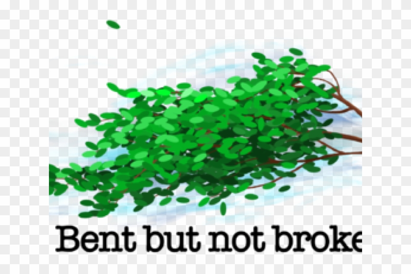 Wind Clipart - Design - Png Download #4721552