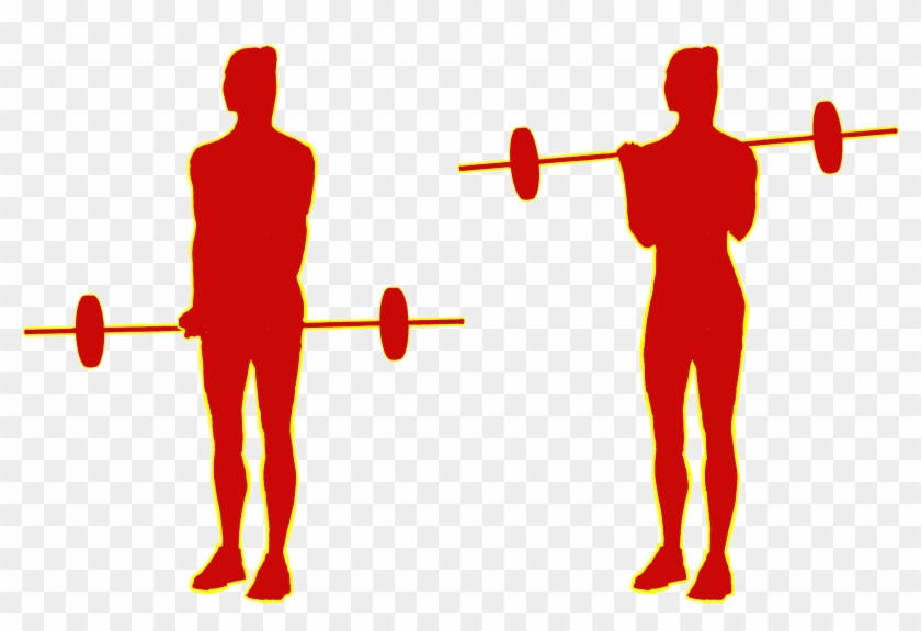 Barbell Or Cable-curls 21s - Powerlifting Clipart #4722185