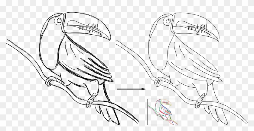 Consolidating Raw Sketches Into Artist-intended Curve - Sketch Clipart