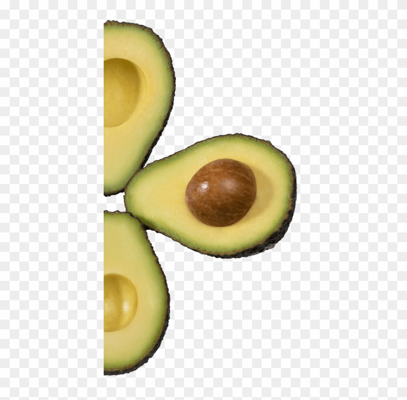 History Avocados From Mexico Source - Avocado Clipart #4722309