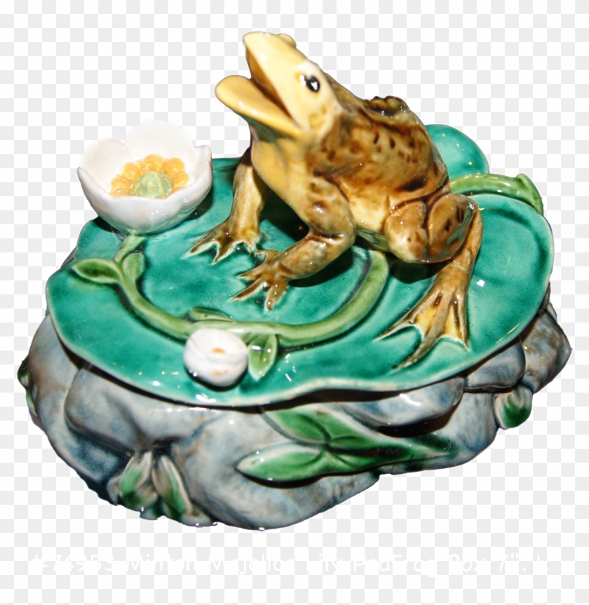 Home Also We Do Not Offer Appraisal - Colorado River Toad Clipart