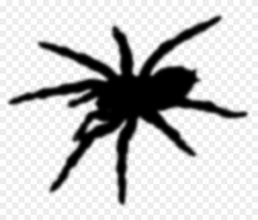 Tarantula Clipart