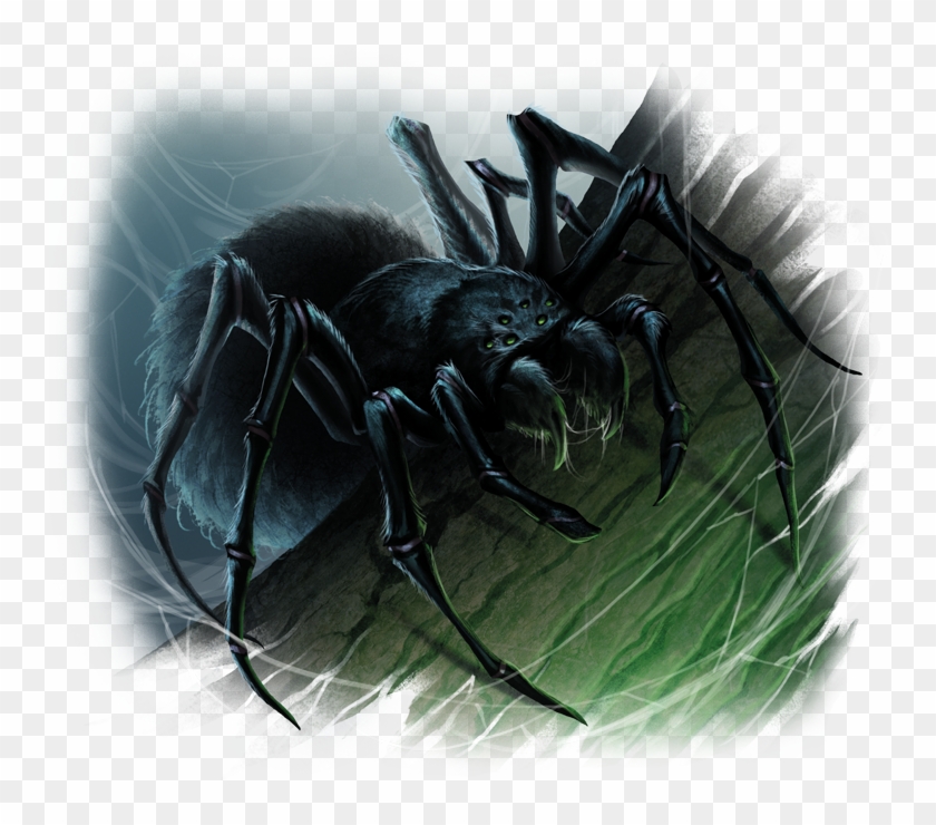 Giant Spider A Magical Creature, Giant Spiders Aren't - Tarantula Clipart #4726153