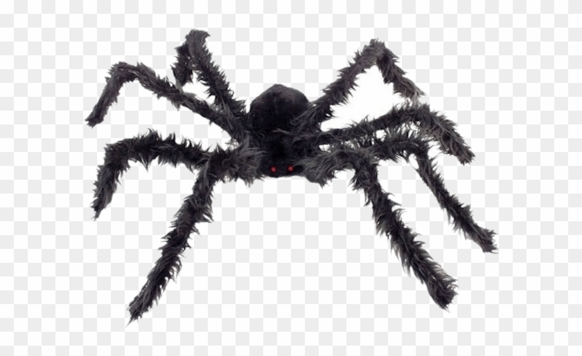Giant Hairy Spider - Zirneklis Clipart #4726434