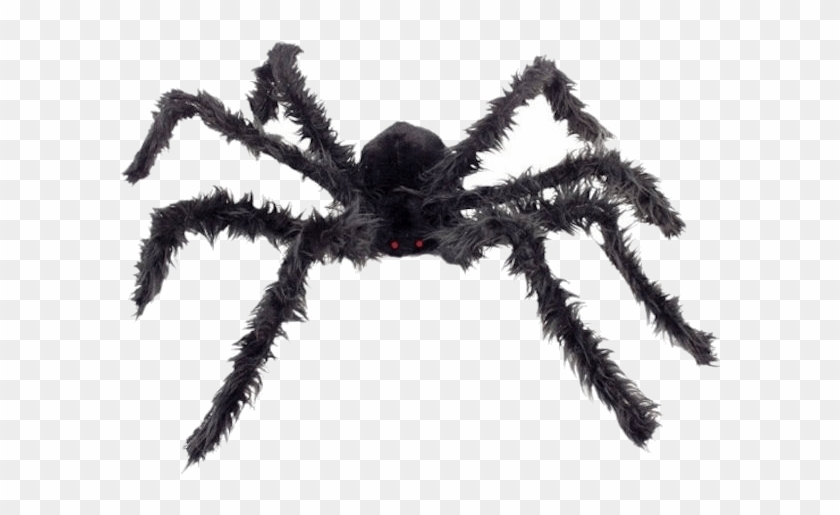Giant Hairy Spider - Zirneklis Clipart