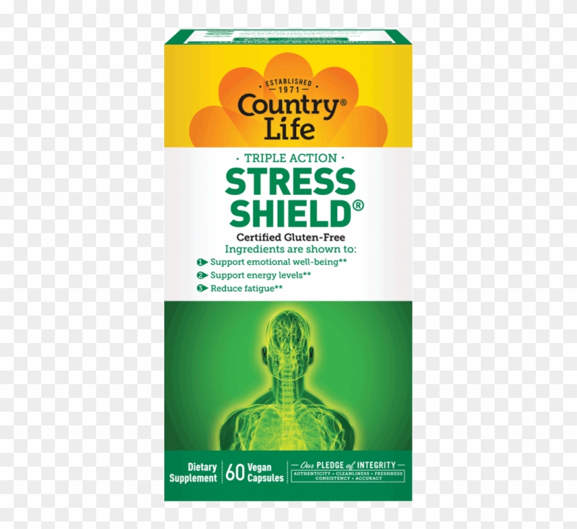 Stress Shield﻿® - Fruit Clipart