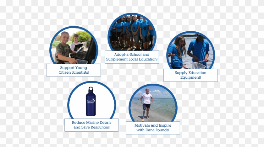 Join Us As We Help Raise Awareness For Shark Conservation - Graphic Design Clipart