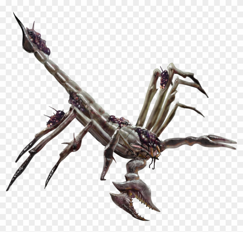 Giant Scorpions - Insect Clipart