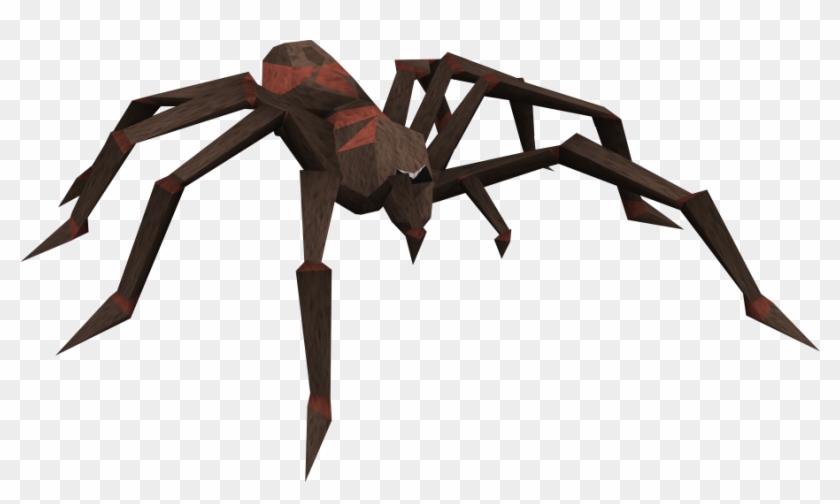 Araneus Cavaticus Clipart