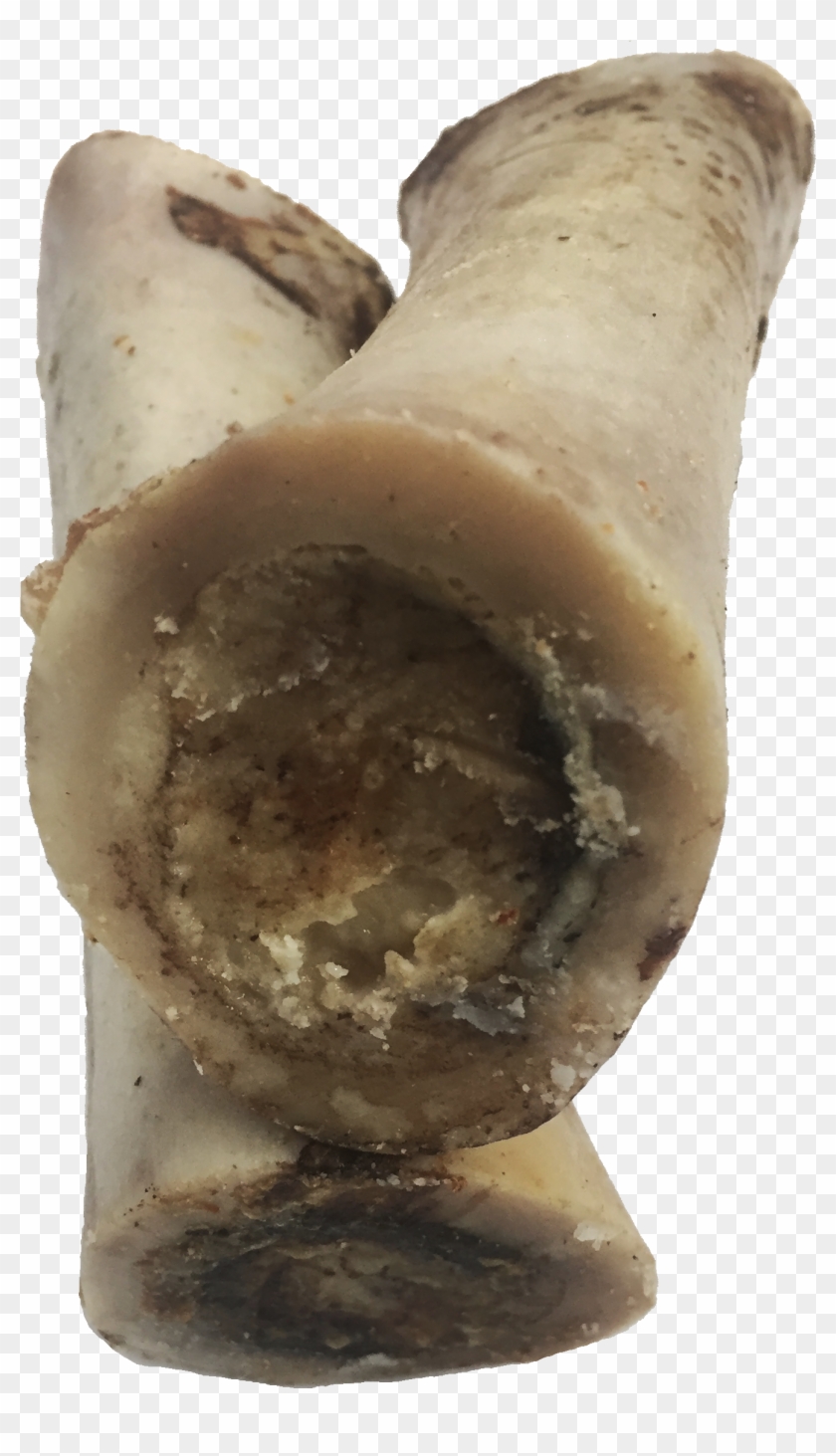 Tuckers Dehydrated Beef Bone 6in - Bronze Sculpture Clipart