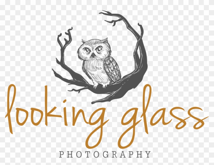 Looking Glass Format=1500w Clipart