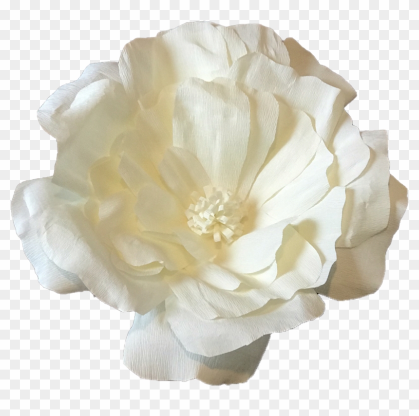 Artificial Flower Clipart #4727908