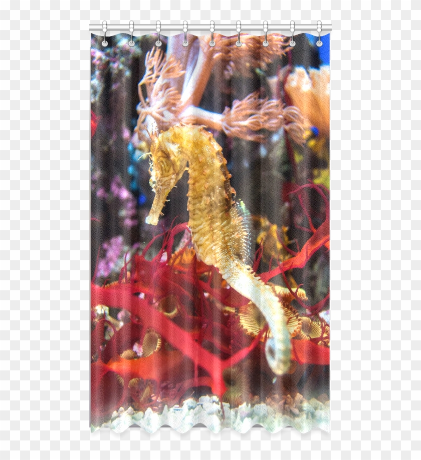 Picture Frame Clipart