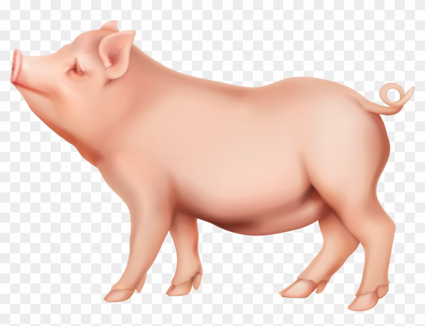 View Full Size - Pig Png Clipart #4730807