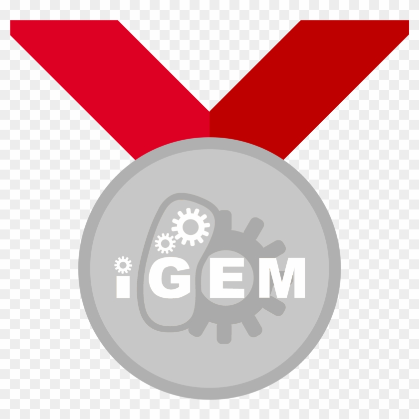 Silver Medal Requirements - Circle Clipart