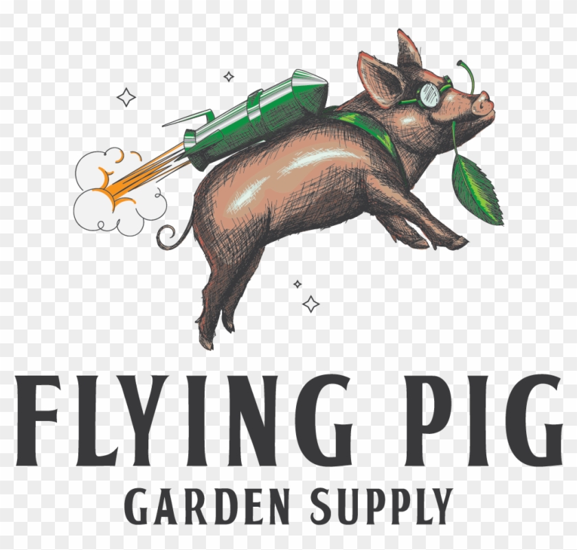 Flying Pig Png , Png Download - Fun Logos Clipart #4731487