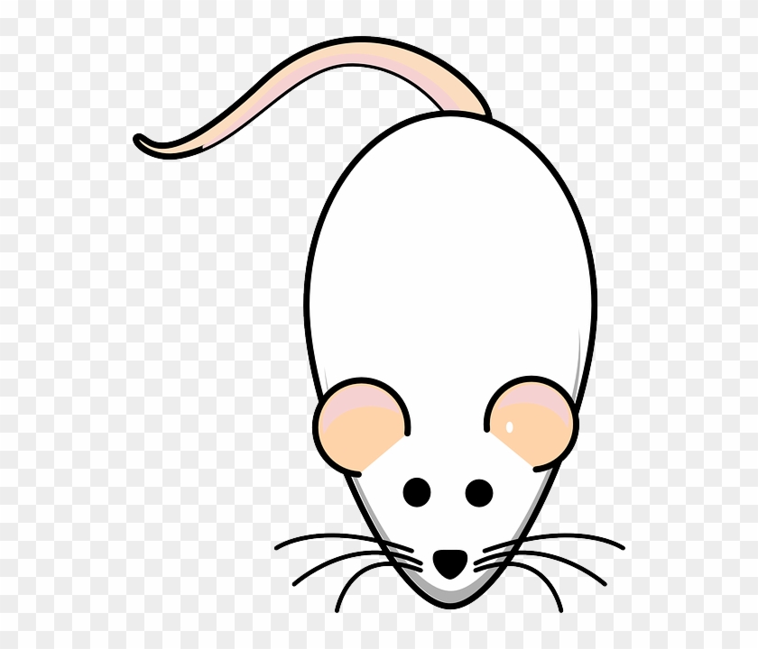 Cartoon Clipart #4731708