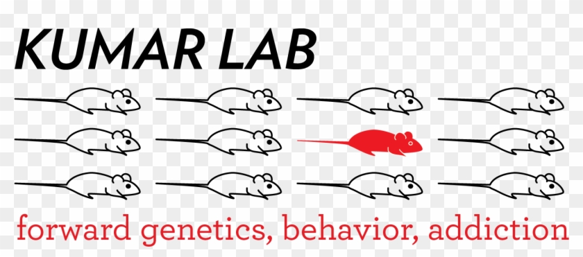I Am Looking Of Feedback On A Logo For My Lab - Sacramento Municipal Utility District Clipart