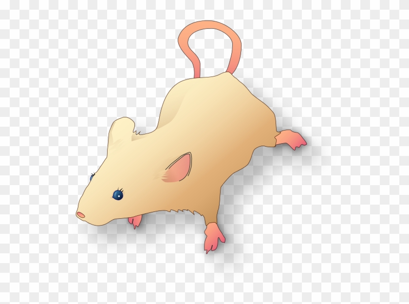 Vectorized Lab Mouse Mg 3263 For Scientific Figures - Scientific Mouse Clipart