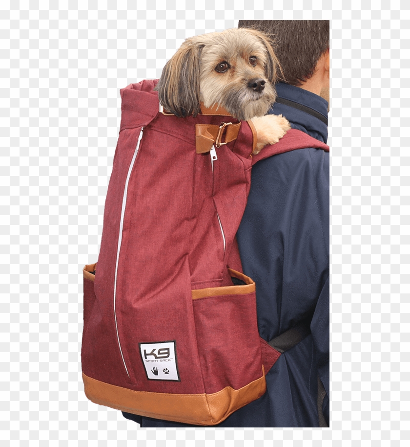 K9 Sport Sack® Urban - Companion Dog Clipart #4732839