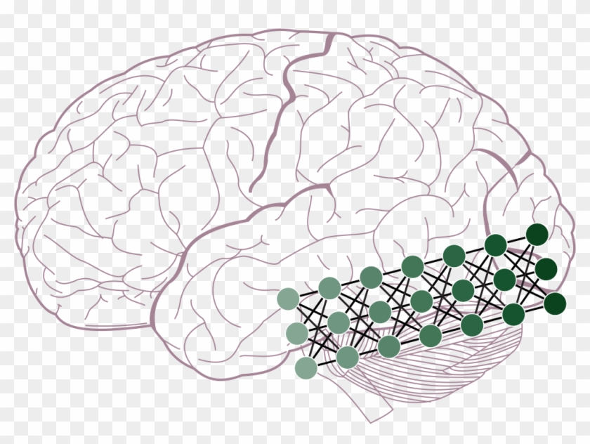 Figure 2b From Guest And Love - Lobes Of The Brain Clipart