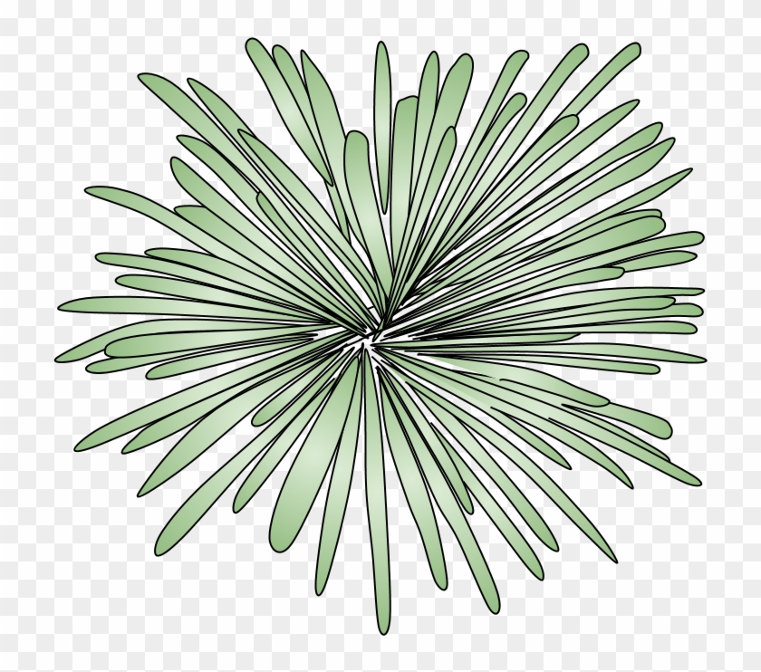 Fireworks, Burst, Style 2, Green, Png Fireworks - Stony Coral Clipart