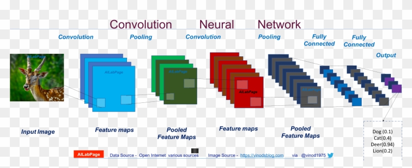 Everything You Need To Know About Convolutional Neural - Fully Connected Network Vs Cnn Clipart #4733573
