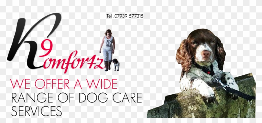 K9 Komfortz With Kim7 , Png Download - Cocker Spaniel Clipart