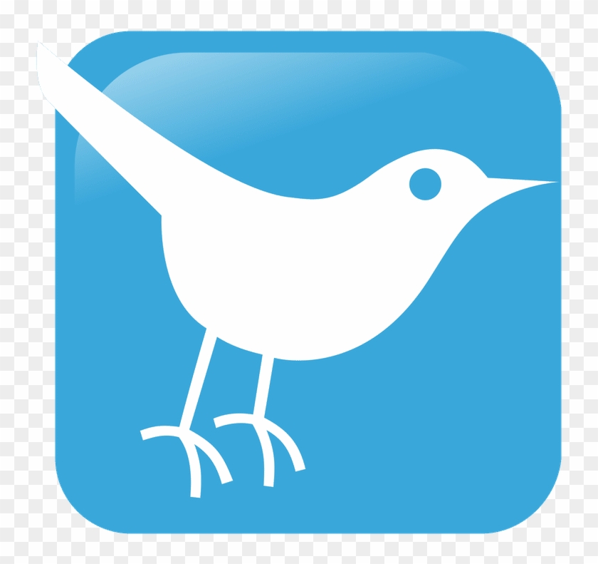 Twitter Blue Bird Icon - Social Media Clipart
