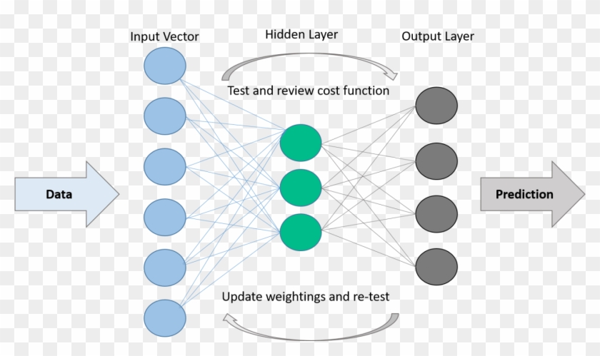 Structure Of An Ann - Circle Clipart