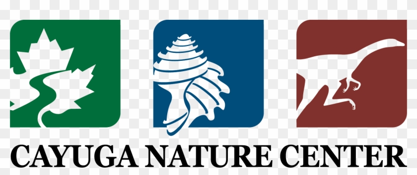 Cayuga Nature Center Logo Clipart