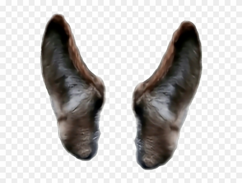 #dog #filter #ftestickers #ears #wolf #lycanlupus #werewolf - Invertebrate Clipart