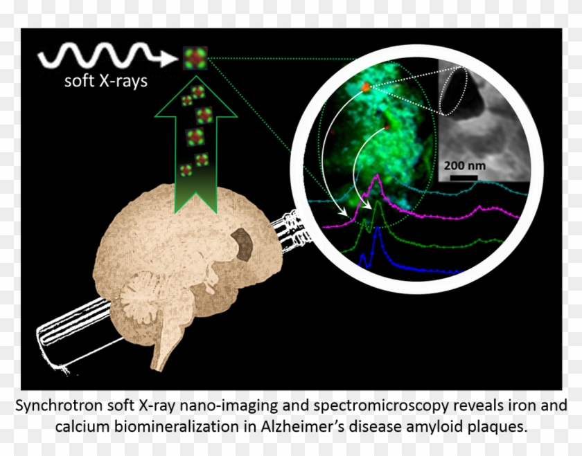 A Graphical Representation Of The Experiment - Graphic Design Clipart #4738390