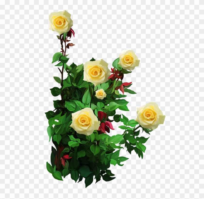 Roses,pink,roze,rosa, - Белые Розы Clipart #4740675