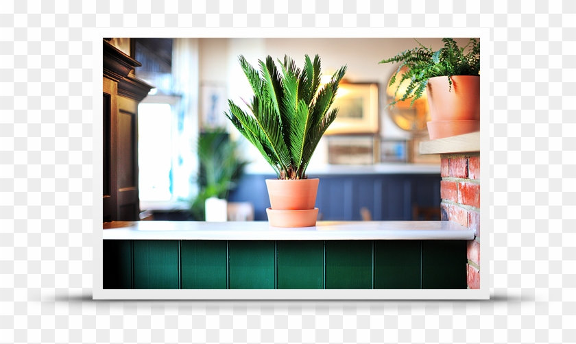 The Rose & Crown - Flowerpot Clipart #4740915